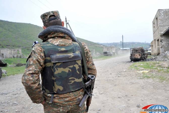 Livestock killed in Armenian village as Azerbaijan opens gunfire in Tavush province 