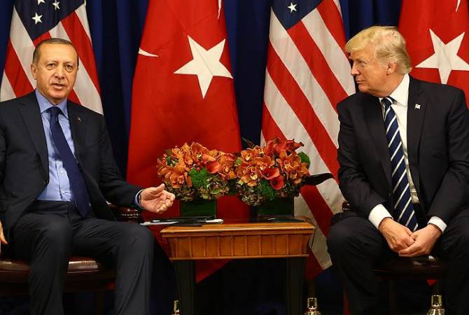 Trump, Erdogan discuss Syria crisis