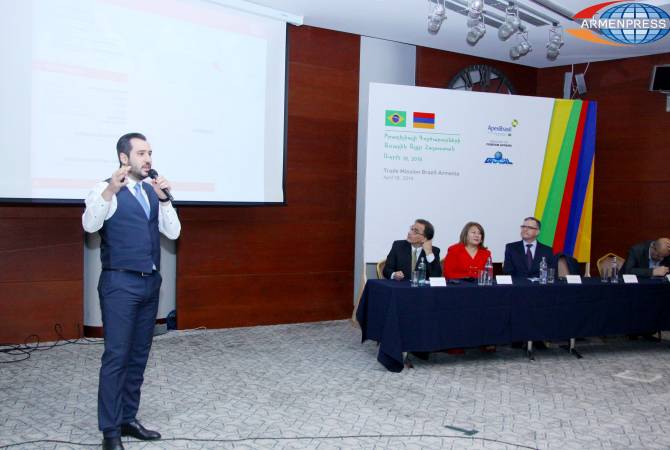Brazilian businessmen offered to enter Russian and Iranian markets via Armenia 