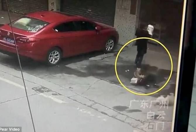 Китаянка попала в больницу из-за упавшей на нее с "неба" собаки