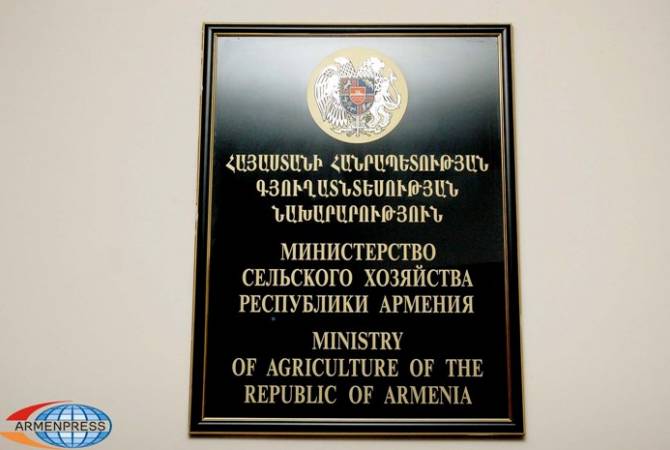 Chief of staff of agriculture ministry relieved from position