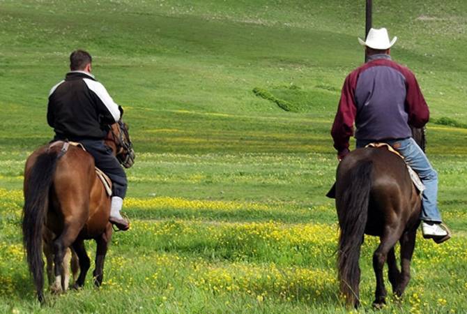 Hiking, horse riding, bird-watching: Ecotourism Festival offers multiple events