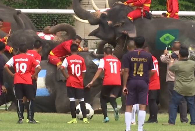 Футбольный матч между школьниками и слонами состоялся в Таиланде
