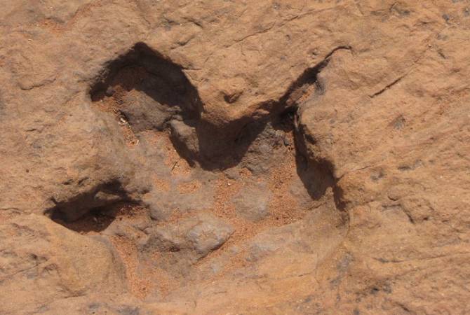 В Китае обнаружили следы динозавров, которые жили 120 миллионов лет назад