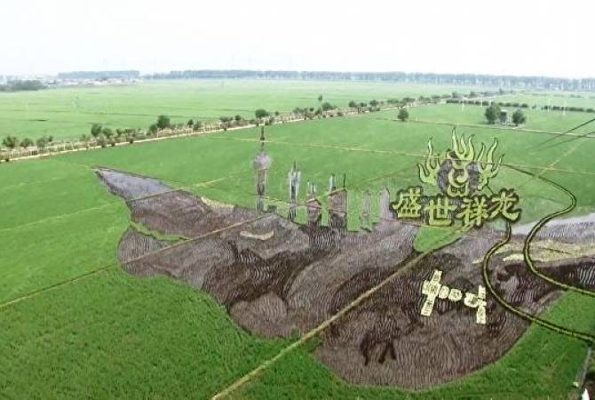 Удивительные рисунки китайских фермеров на рисовых полях