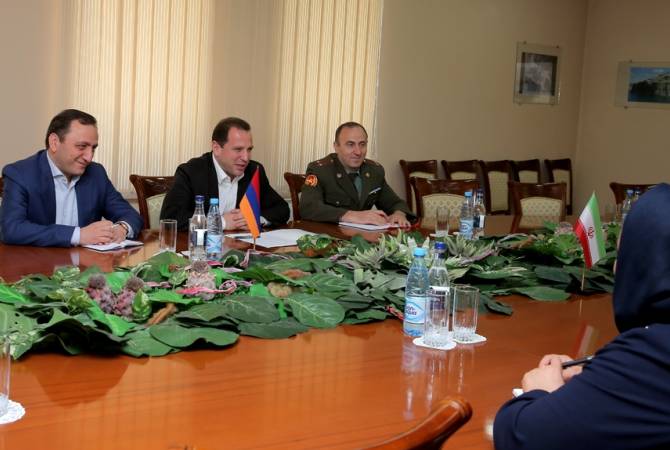 Armenian defense minister holds meeting with Iranian Ambassador