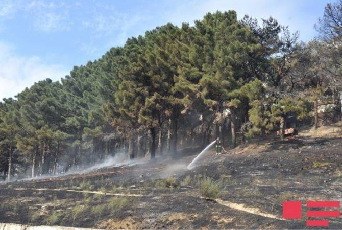 Крупный пожар, вспыхнувший в Азербайджане, продолжается