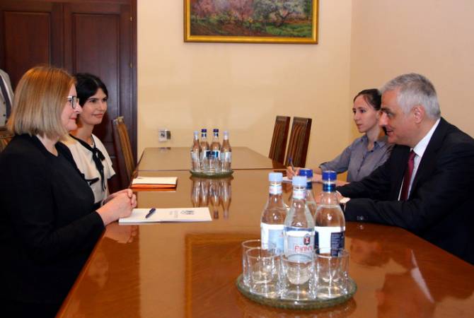 Armenian deputy PM holds meeting with UK Ambassador