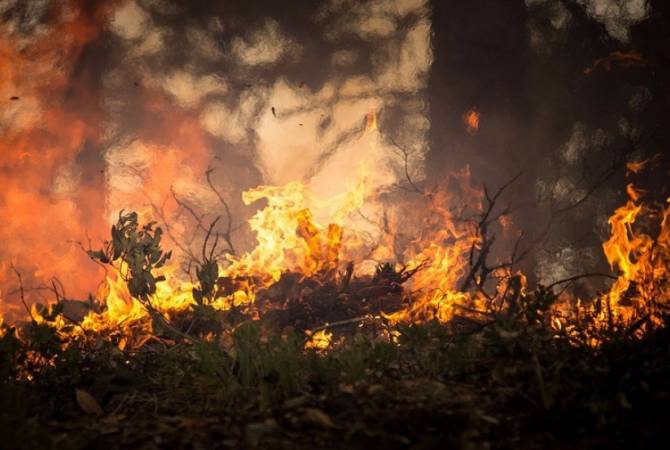 Чрезвычайное положение объявлено в районе лесного пожара на острове Эвбея