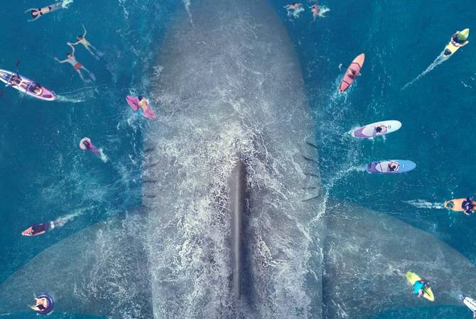 Фильм про гигантскую акулу стал лидером кинопроката в США в прошлый уик-энд
