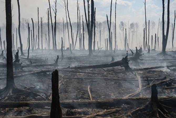 В Индонезии разрешили стрелять без предупреждения в поджигателей лесов