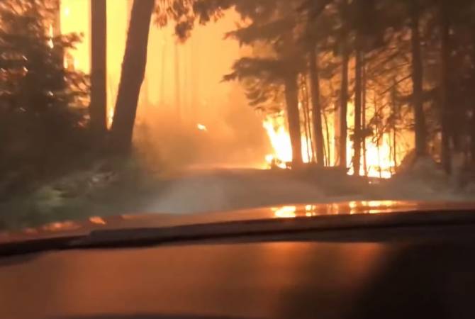 В США отец с сыном сняли на видео, как спасались от лесного пожара
