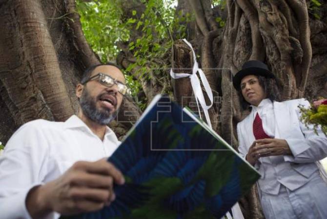 СМИ: перуанский актер "женился" на дереве в парке Санто-Доминго