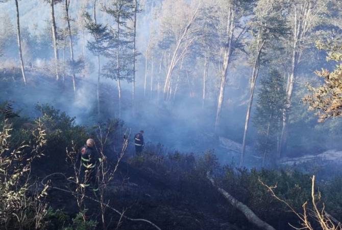 Сотни пожарных второй день борются с огнем в Восточной Грузии