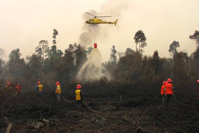 В Индонезии из-за лесного пожара 100 альпинистов оказались в ловушке на вершине 
вулкана