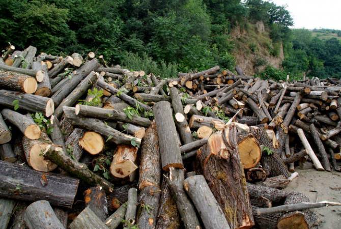 Правительство Армении предлагает строже наказывать за незаконную вырубку деревьев