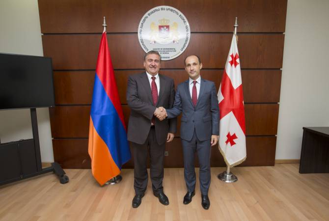 Նախարարները քննարկել են Հայաստանի և Վրաստանի միջև գյուղատնտեսության 
ոլորտում համագործակցության հարցերի լայն շրջանակ
