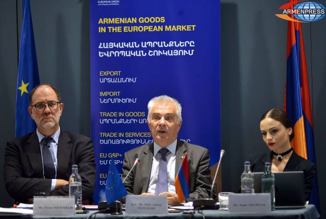 Петр Свитальский оценивает потенциал торговых отношений между Арменией и ЕС выше 
нынешнего уровня