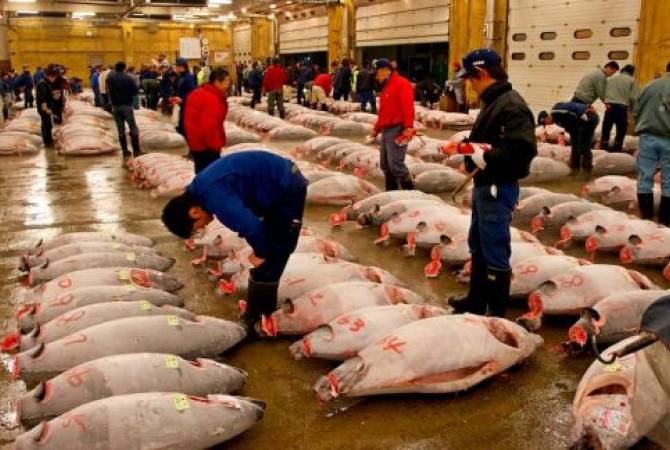 Տոկիոյում կփակեն աշխարհում խոշորագույն Ձկան շուկան 
