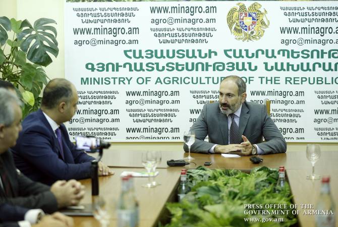 Никол Пашинян представил аппарату министерства сельского хозяйства 
новоназначенного и.о. министра