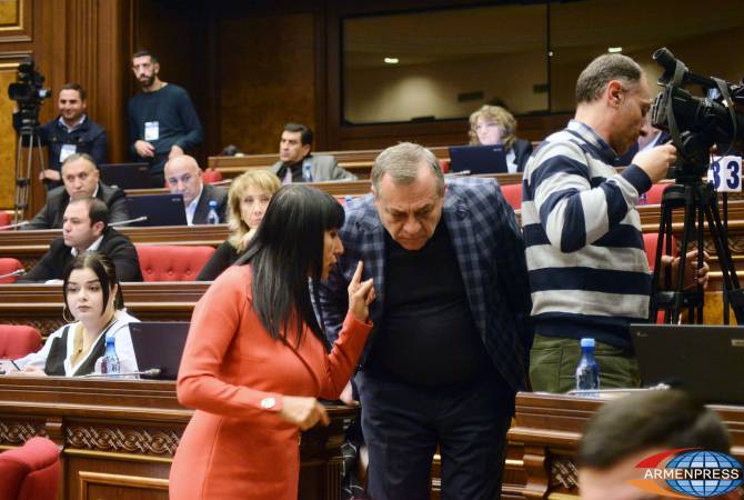 Наира Зограбян предлагает дополнить законопроект об амнистии некоторыми статьями