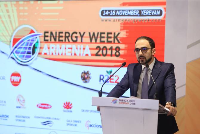 Armenia attaches great importance to utilizing renewable energy potential, says Avinyan 
