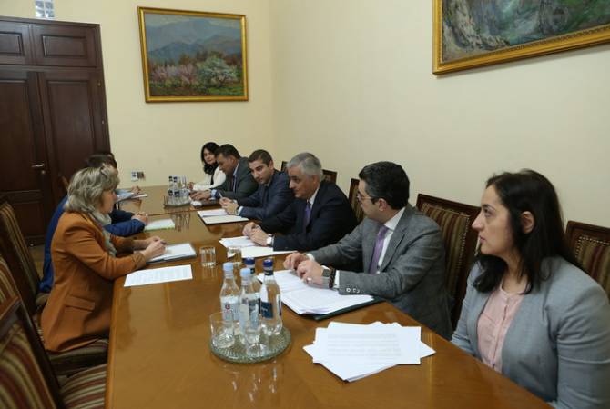 Armenia’s acting deputy PM holds meeting with EEC minister