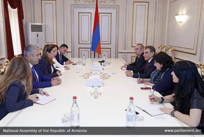 Спикер НС Армении принял делегацию во главе с руководителем группы дружбы Сирия – 
Армения

