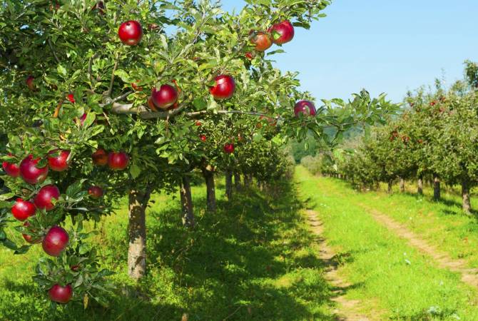 Spain’s GlobalTech eyes intensive farming in Armenia 