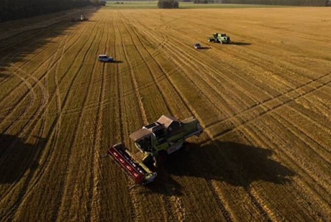 Russia harvests 110 million tons of grain 