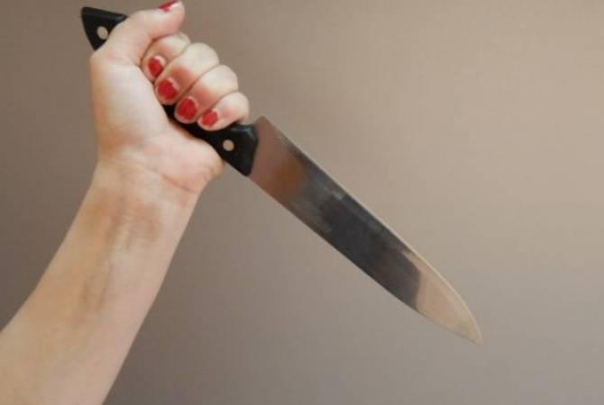 18-летней девушке предъявлено обвинение в нанесении ножевого ранения 17-летнему 
юноше