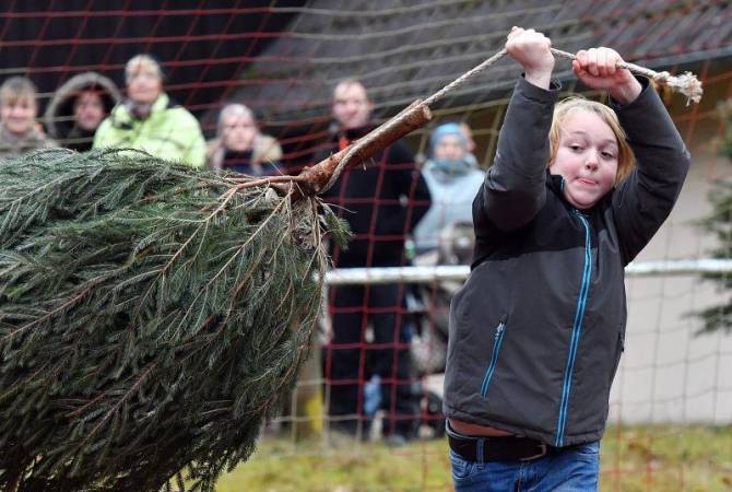 Метание рождественских елок - необычное развлечение жителей Германии
