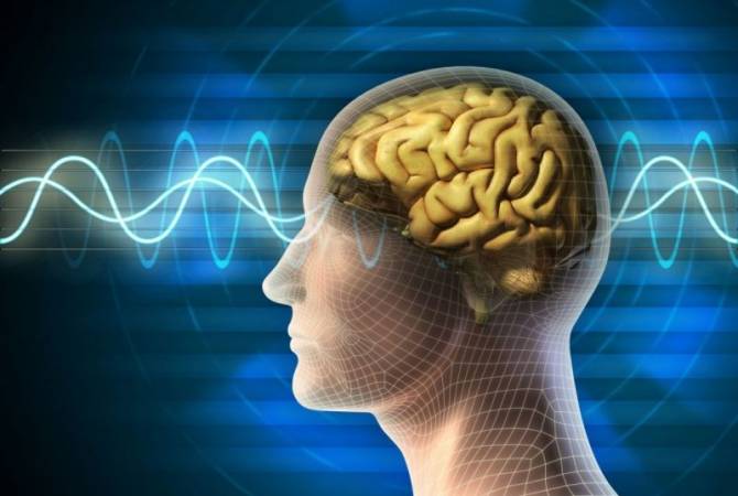 Ученые рассказали, как улучшить память и работу мозга
