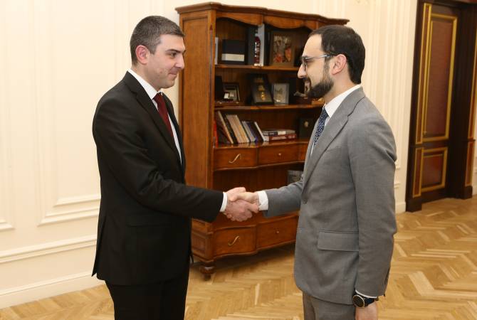 Тигран Авинян встретился с государственным министром Республики Арцах Григорием 
Мартиросяном