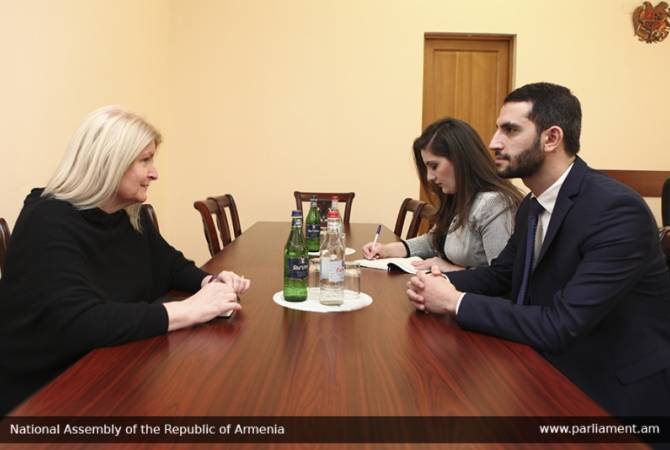 Parliamentary foreign affairs committee head meets with UK Ambassador to Armenia