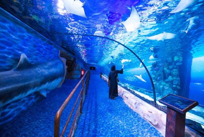 Самый большой аквариум на Ближнем Востоке откроется в Омане