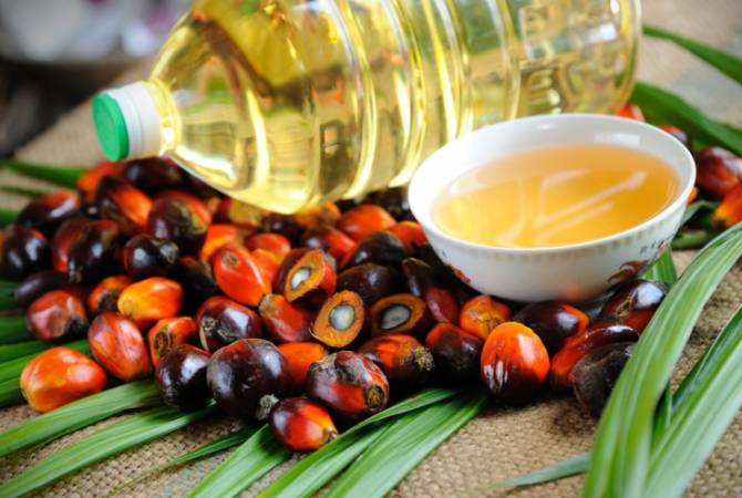 Индонезия пригрозила ЕС за ужесточение критериев использования пальмового масла
