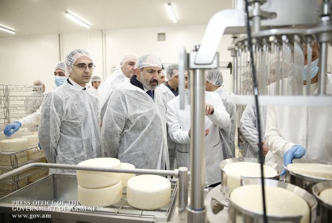 PM Pashinyan attends opening of Spayka agro-holding’s cheese and dairy products producing 
plant