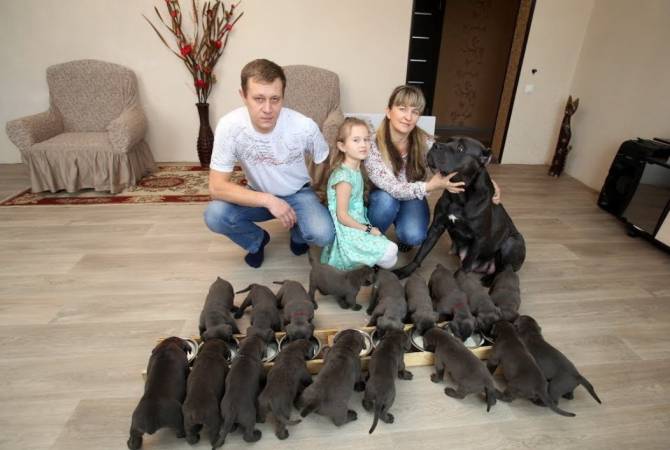 Четвероногая мать-героиня родила 19 щенков и попала в Книгу рекордов России