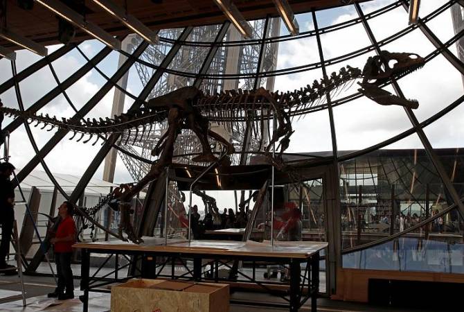 На аукционе в Париже продадут 13-метровый скелет динозавра