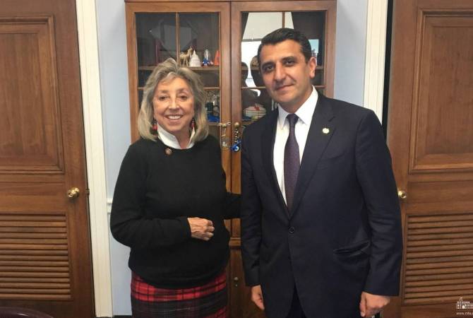 Посол Армении в США Варужан Нерсисян встретился с конгрессменом Диной Тайтус