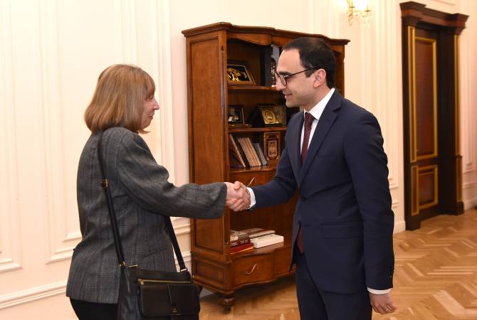 نائب رئيس وزراء أرمينيا تيكران أفينيان يبحث مع سفيرة الولايات المتحدة الجديدة في أرمينيا لين تريسي 
العلاقات الثنائية