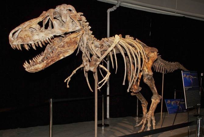На интернет-аукцион eBay выставили скелет тираннозавра