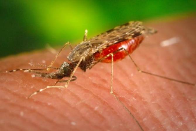 April 25 – World Malaria Day