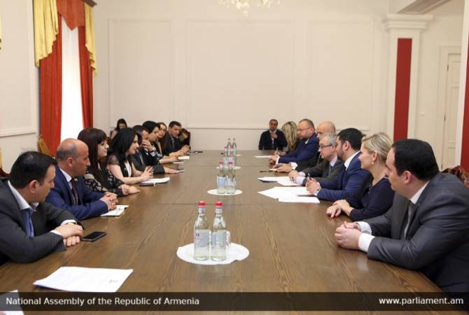 Подчеркнута важность армяно-чешских межпарламентских связей: встреча в комиссии

