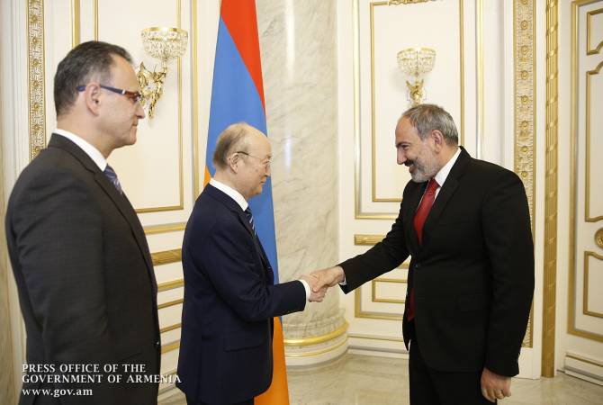 Armenian PM, IAEA Director General discuss efforts toward enhancing security level of ANPP