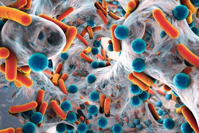  Эксперты: устойчивость микробов к лекарствам грозит человечеству миллионами жертв 