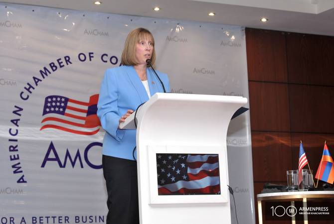 Лин Трейси заявила  об ответственности США за  содействие в демократических и 
экономических реформах Армении