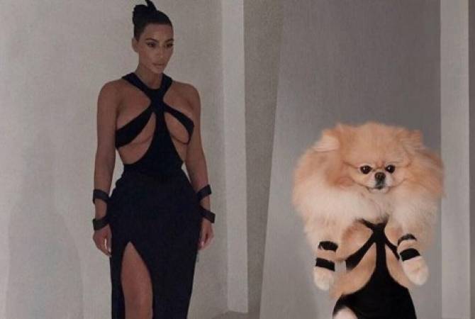 Ким Кардашьян сравнила себя с собакой