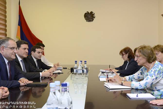 Виген Кочарян принял представителей высокопоставленной делегации СЕ